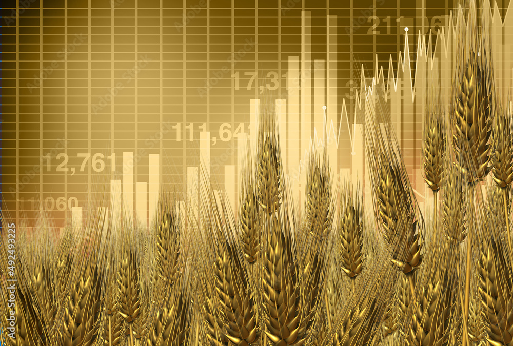 Regional Intergration and Development
