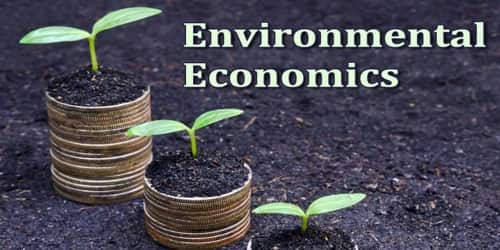 ENVIRONMENTAL ECONOMICS