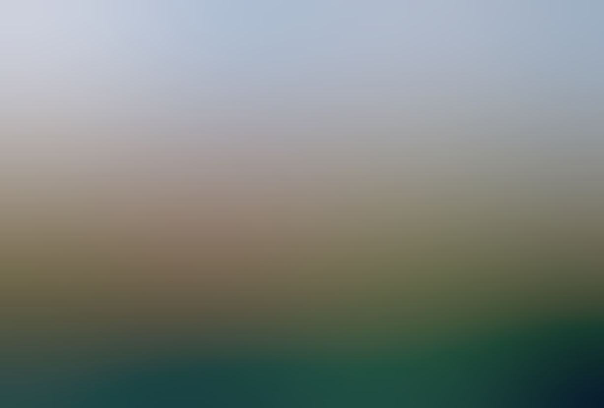 Preventive Concepts in Maternal and Child Health