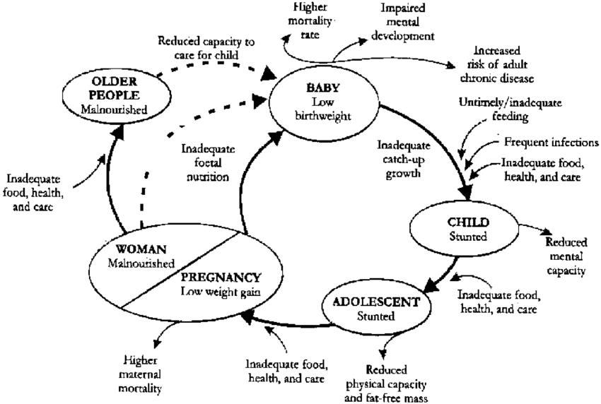 LIFE CYCLE NUTRITION