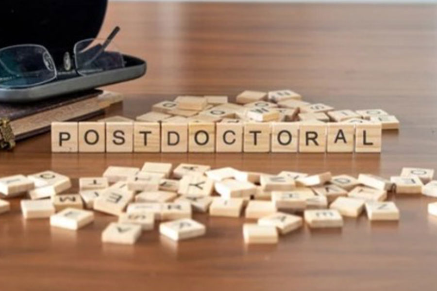 Postdoctoral Fellowship